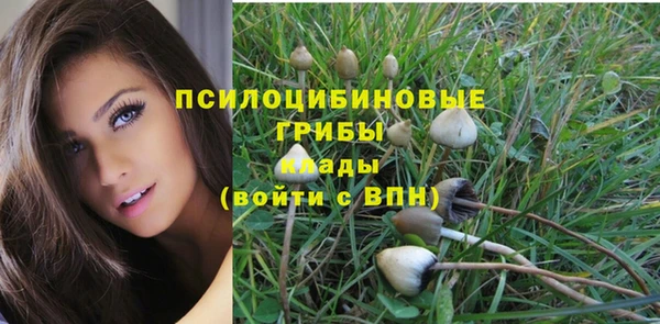 кристаллы Алексин