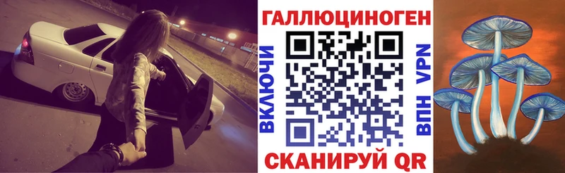 где можно купить   Зуевка  Галлюциногенные грибы MAGIC MUSHROOMS 